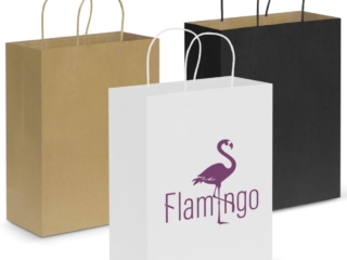 PAPER CARRY BAGS
